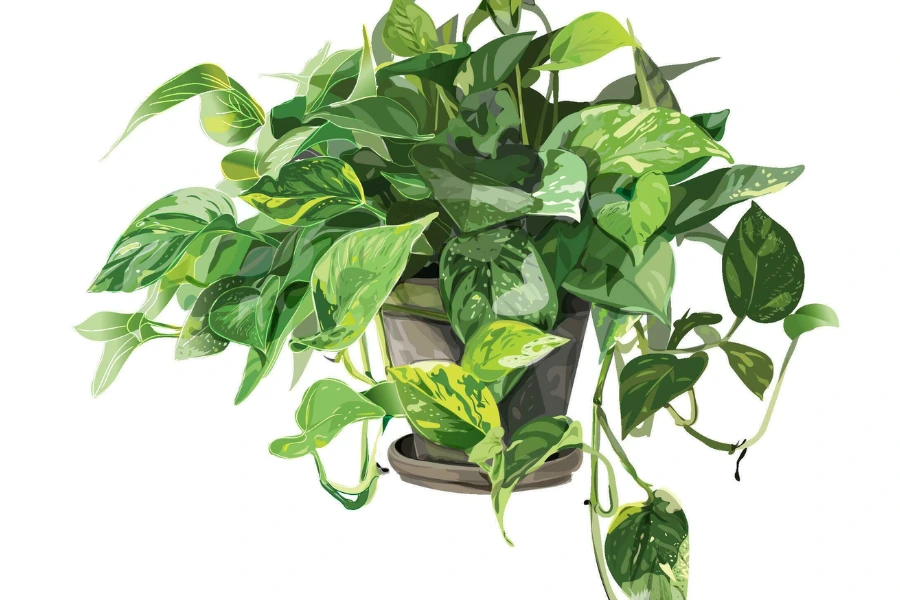 10 Vastu Plants for Home: Top Choices to Create a Positive Vibe 3 money plant for vastu