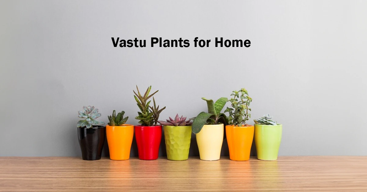 vastu plants for home