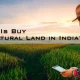 Can NRIs Buy Agricultural Land in India 80x80