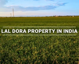 Lal Dora Property in India