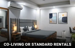 Co-Living or Standard Rentals