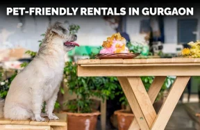 Pet-Friendly Rentals in Gurgaon