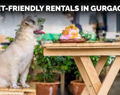 Pet-Friendly Rentals in Gurgaon