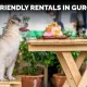 Pet-Friendly Rentals in Gurgaon