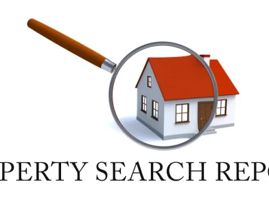 Property Search Report