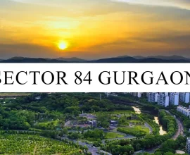 Sector 84 Gurgaon: Real Estate