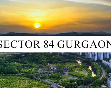 Sector 84 Gurgaon: Real Estate