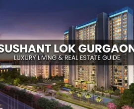 Sushant Lok Gurgaon